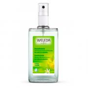 Miniatura - WELEDA Desodorante UNISEX Citrus Spray 24H (100ml)