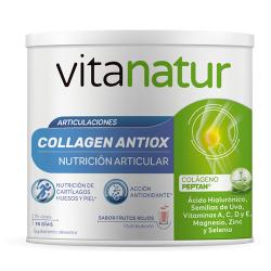 Collagen ANTIOX (180g)