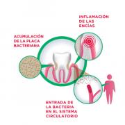 Miniatura - GUM KIT DE VIAJE (CEPILLO+PASTA+HILO+INTERDENTAL)	