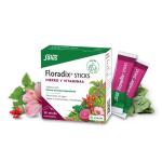 FLORADIX HIERRO Y VITAMINAS (20 STICK)