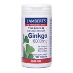 Ginkgo 6000mg (180tabs)