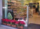 Caudalie