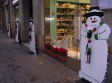 2009-10 Navidades