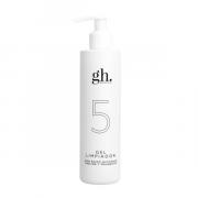 Miniatura - GH 5 GEL LIMPIADOR (250ML)
