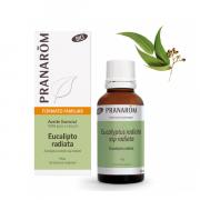 Miniatura - PRANAROM ACEITE ESENCIAL EUCALIPTO RADIATA BIO (30ML)