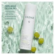 Miniatura - CAUDALIE AGUA DE UVA (200ML) 