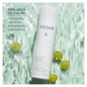 Miniatura - CAUDALIE AGUA DE UVA (200ML) +AGUA DE UVA (75ML) de REGALO!