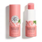 Miniatura - ROGER&GALLET BALSAMO DE LABIOS FLEUR DE FIGUIER (3,8G)