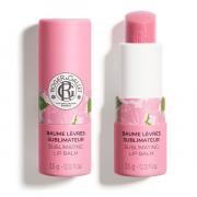 Miniatura - ROGER&GALLET BÁLSAMO DE LABIOS ROSE (3,5G)