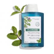 Miniatura - KLORANE CHAMPÚ A LA MENTA BIO (200ml)