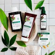 Miniatura - KLORANE PACK DUPLO CHAMPÚ QUININA EDELWEIS (2X400ML)