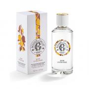 Miniatura - ROGER&GALLET COFRE BOIS D´ORANGE EAU PARFUMÉ (100ML) + DIFUSOR MIKADO AROMA BOIS D´ORANGE REGALO!