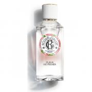 Miniatura - ROGER&GALLET COFRE DE NAVIDAD FLEUR DE FIGUIER AGUA FRESCA PERFUMADA (100ML) + LECHE CORPORAL (250ML))