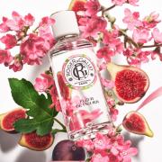 Miniatura - ROGER&GALLET COFRE FLEUR DE FIGUIER EAU FRESCA PERFUMADA (30ML) + CREMA MANOS FLEUR DE FIGUIER (30ML) REGALO!