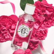 Miniatura - ROGER&GALLET COFRE GINGEMBRE ROUGE AGUA PERFUMADA (30ML) + JABÓN PERFUMADO GINGEMBRE ROUGE (100G) REGALO!