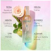 Miniatura - CAUDALIE COFRE LUMINOSIDAD AGUA DE BELLEZA LUMINOSIDAD (100ML) + SERUM RESPLANDOR (15ML) + MASCARILLA DETOX (15ML) REGALO!