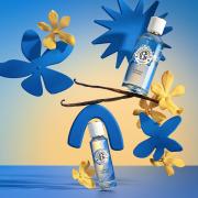 Miniatura - ROGER&GALLET COFRE VANILLE SOLEIL AGUA PERFUMADA (100ML) +MIKADO DIFUSOR VANILLE SOLEIL REGALO!