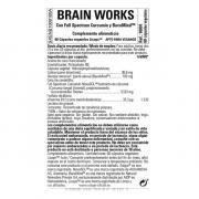 Miniatura - SOLGAR BRAIN WORKS (60 LICAPS)