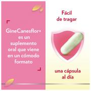 Miniatura - BAYER GINECANESFLOR (30 CÁPSULAS VEGETALES)