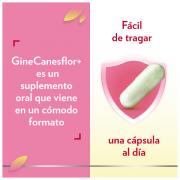 Miniatura - BAYER GINECANESFLOR (30 CÁPSULAS VEGETALES)