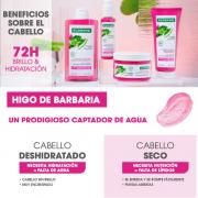 Miniatura - KLORANE MACARILLA HIGO DE BARBARIA (250ML)