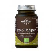 Miniatura - HIFAS DA TERRA MICO POLYPOR  (70 cápsulas 628mg)