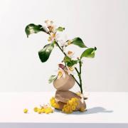 Miniatura - ROGER&GALLET NEROLI GEL DE DUCHA BIENESTAR  (200ML)