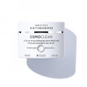 Miniatura - ESTHEDERM OSMOCLEAN GELATINA-ACEITE DESMAQUILLANTE MICELAR (100ML)