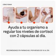Miniatura - SUPERLATIVA PACK AHORRO ELECTRA ESTRES (3 X 60 CAPSULAS)