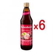 Miniatura - RABENHORST PACK ZUMO INNER BEAUTY (750ML X 6 UNIDADES)