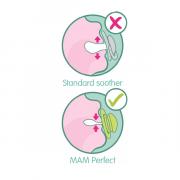 Miniatura - MAM BABY PERFECT CHUPETE SILICONA DIENTES PERFECTOS +6M (1 UNIDAD)