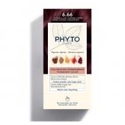 Miniatura - PHYTO PHYTOCOLOR 6.66 KIT COLORACIÓN  CASTAÑO CLARO CEREZA INTENSO