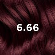 Miniatura - PHYTO PHYTOCOLOR 6.66 KIT COLORACIÓN  CASTAÑO CLARO CEREZA INTENSO