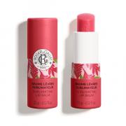 Miniatura - ROGER&GALLET SET DE MANOS Y LABIOS CREMA DE MANOS GIMGEMBRE ROUGE (30ML  +4,5G)