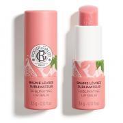 Miniatura - ROGER&GALLET SET DE MANOS Y LABIOS FLEUR DE FIGUIER (30ML +4,5G)