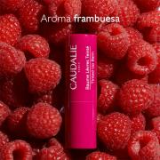Miniatura - CAUDALIE STICK TRATAMIENTO LABIAL CON COLOR (4.5G) NOVEDAD!