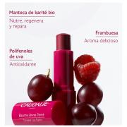 Miniatura - CAUDALIE STICK TRATAMIENTO LABIAL CON COLOR (4.5G) NOVEDAD!