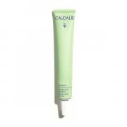 Miniatura - CAUDALIE VINOPURE STOP GRANOS AC. SALICILICO (15ml)