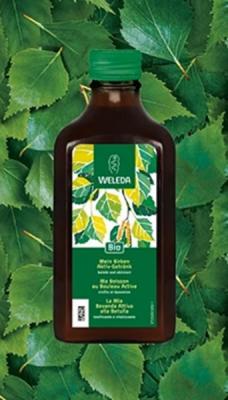 ZUMO DE ABEDUL (200ml)