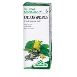 6-Cardo Mariano (Carduus Marianus) 50ml
