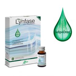 Adelgacción Lynfase Concentrado (12 Monodosis) 