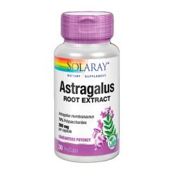ASTRAGALUS ROOT EXTRACT 200MG  (30 VEGCAPS)