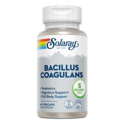 Bacillus Coagulans Sin Leche (60 Vegcaps)