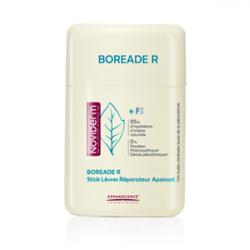 Boréade R Stick Reparador (11ml)