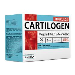 CARTILOGEN MUSCULOS (20 SOBRES)