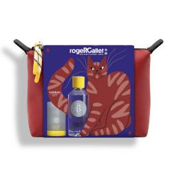 COFRE NAVIDAD COLONIA TWIST (100ML) + DESODORANTE TWIST STICK (50G) REGALO!