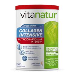 Collagen Intensive (360g)