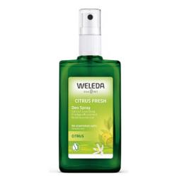 DESODORANTE CITRUS SPRAY (100ml)