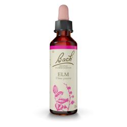 Elm - Olmo (20ml)