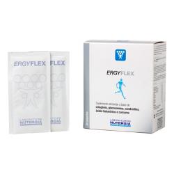 ErgyFlex (30 sobres)   
